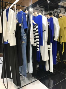 統(tǒng)衣服飾 甘孜品牌女裝批發(fā)的優(yōu)質(zhì)貨源之選